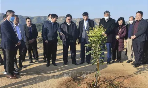 Bộ trưởng Lê Minh Hoan: Điện Biên nên ưu tiên phát triển sản phẩm nông nghiệp thế mạnh