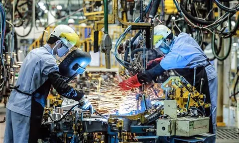 Doanh nghiệp ưu tiên gì trong bình thường mới?