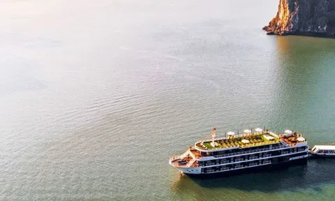 Quảng Ninh Liên minh Hạ Long - Cát Bà vì một thiên nhiên xanh