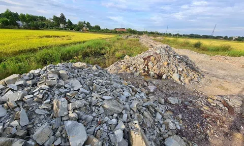 Đất ruộng thành thổ cư ở Đồng Nai thực trạng và hệ lụy