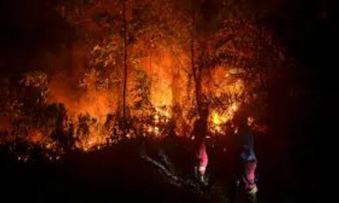 Indonesia nỗ lực đối phó với khói bụi độc hại