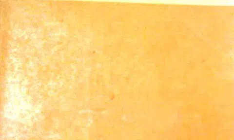 Nam Cao - Trí thức dấn thân không chịu sống mòn (Kỳ 3)