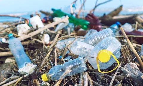 14 Cách đơn giản để giảm thiểu rác thải nhựa