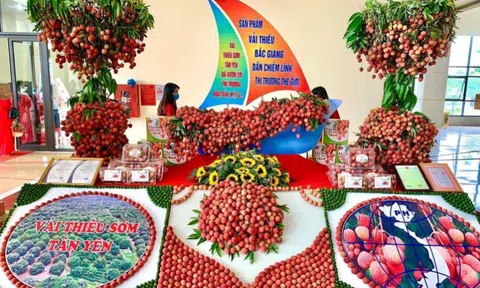 Nâng cao chất lượng sản phẩm mục tiêu của các doanh nghiệp Việt Nam hiện nay