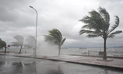 Công điện ứng phó với bão RAI trong bối cảnh dịch bệnh COVID-19