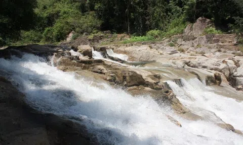 Cát Tiên - Một vùng xanh hiếm hoi của một khu bảo tồn thiên nhiên