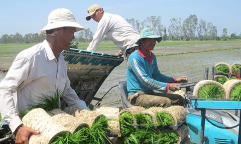 Đồng Tháp: Mơ tiếp giấc mơ sản xuất nông nghiệp "thuận thiên"