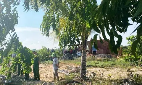 Bình Thuận: Hàng trăm cây xanh vùng du lịch biển Hòa Thắng bị chặt phá