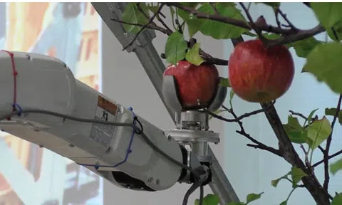 Nông nghiệp - nông dân thông minh