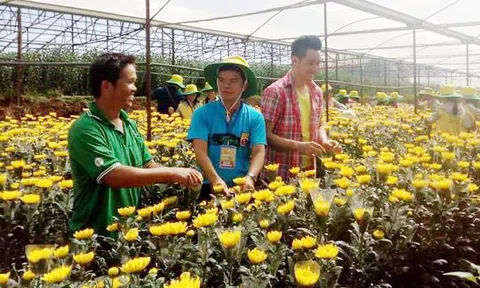 Lâm Đồng đẩy mạnh canh tác nông nghiệp công nghệ cao