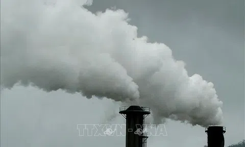 Cam kết của Việt Nam trong báo cáo NDC là rất quan trọng