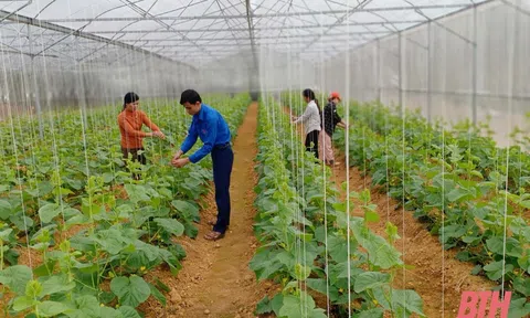 Nông nghiệp Việt Nam cần lưu ý cả về thích ứng và giảm thiểu