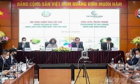 Hệ thống lương thực thực phẩm có khả năng thích ứng, hướng tới tương lai