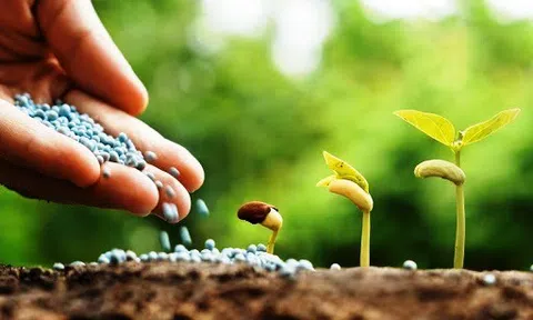 Một số công nghệ sạch giúp bảo vệ môi trường và phát triển bền vững