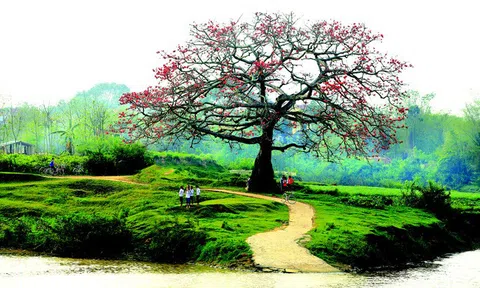 Hành động vì sự sống của thiên nhiên và con người