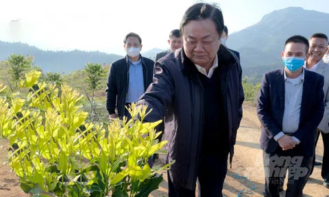 Điện Biên: Tháo gỡ khó khăn, thúc đẩy sản xuất nông nghiệp tăng trưởng