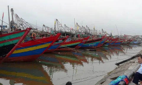Hà Tĩnh: Nhiều tàu, thuyền đã vào các âu thuyền để tránh trú bão số 9