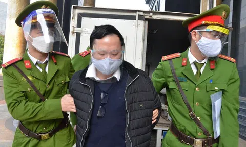 Bằng giả và bằng thật kiến thức giả