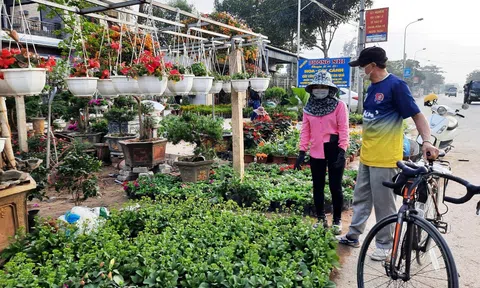 Thị trường hoa cây, cảnh Tết tại Nghệ An vẫn sôi động dù dịch covid 19