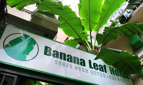 Sáng kiến mới về rừng dấy lên mối lo ngại về quyền carbon của người bản địa