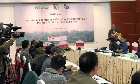 Đâu là chiến lược bảo tồn rừng nhiệt đới hiệu quả nhất?