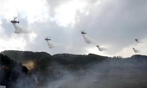 Thành tích kỷ lục về ngăn chặn cháy rừng ở tỉnh Gyeonggi, Hàn Quốc