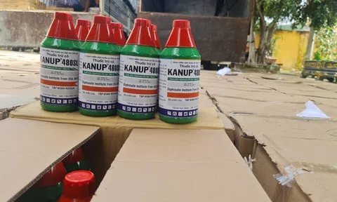 Thuốc bảo vệ thực vật chứa chất cấm lại “hoành hành”