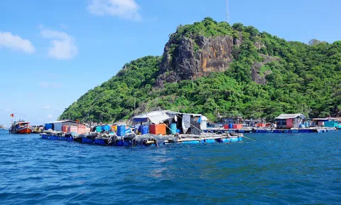 Cư dân Hòn Chuối nuôi cá gặp khó