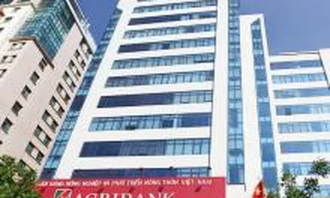 Quản lý rủi ro tín dụng cá nhân tại ngân hàng Agribank - chi nhánh huyện Tân Lạc, tỉnh Hòa Bình.