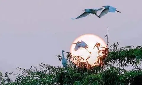 Không gì bằng “Tự lực cánh sinh”