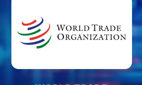 12/1 Việt Nam đàm phán gia nhập WTO, nhìn lại cơ hội và thách thức