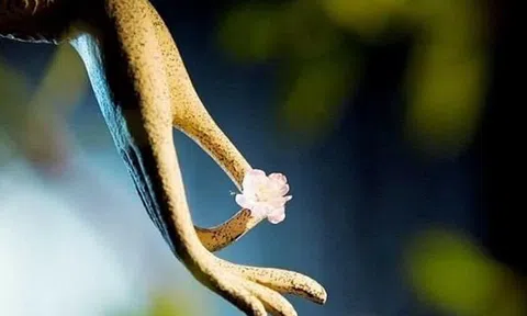 Triết lý nhân sinh giúp bạn không còn buồn phiền, luôn sống thanh thản