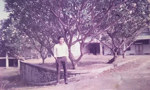 “Vụ án con gà” và má Năm Sài Gòn