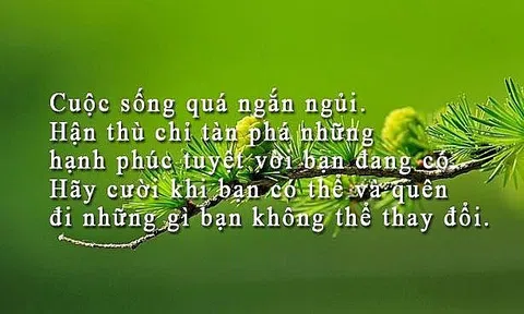 Yêu nên tốt, ghét nên xấu