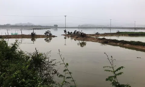 “Cá đuổi đồng” tại xã Lê Lợi, Chí Linh, tỉnh Hải Dương, cơ hội đầu tư còn bỏ ngỏ!