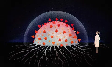 Suy ngẫm từ đại dịch corona