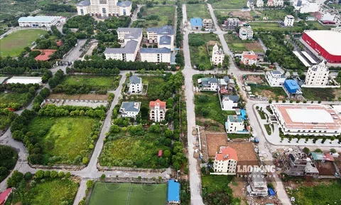 Ngăn chặn đầu cơ không để lãng phí tài nguyên đất
