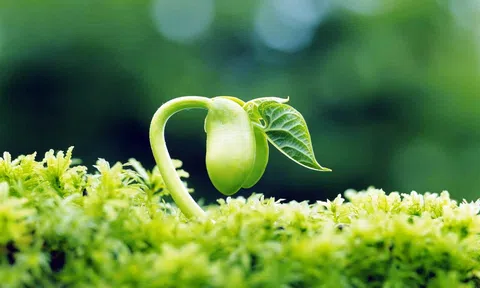 Tuân theo quy luật 3 + 7, vạn sự đều hanh thông