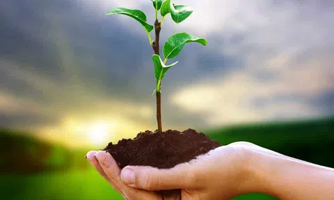 20 Nghịch lý của cuộc sống