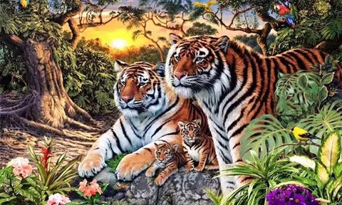 Năm Dần nói chuyện Hổ