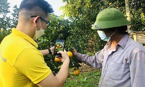 Sản phẩm OCOP - báu vật của từng làng quê