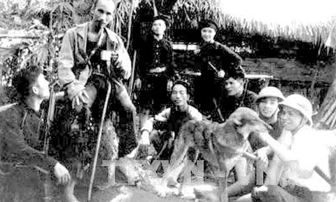 Giao thừa năm ấy Bác đến chùa Trầm