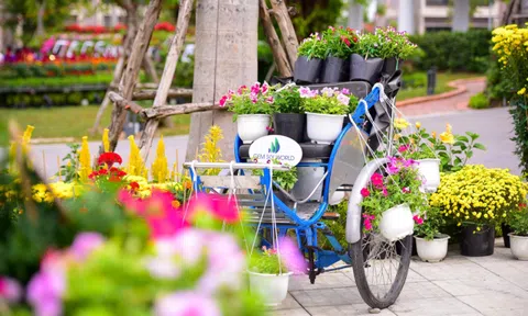 Xuân về rạo rực, bâng khuâng!