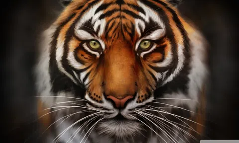 Những cụm từ hay thành ngữ có chữ Hổ