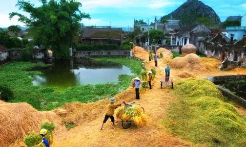 Cây sào tre, lệ làng và luật nước