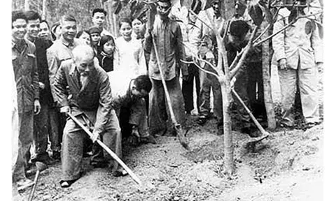 Những hình ảnh Bác Hồ trồng cây