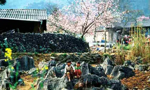 Một chút với mùa xuân