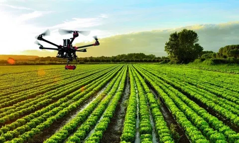 Nông nghiệp chính xác, tương lai của nông nghiệp toàn cầu