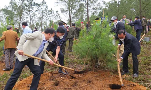 Bảo vệ, cải tạo đất trong khi tiến hành các hoạt động trên đất, phục hồi khi có suy thoái và ô nhiễm đất