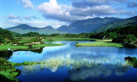 Bảo tồn thiên nhiên là sứ mệnh của con người